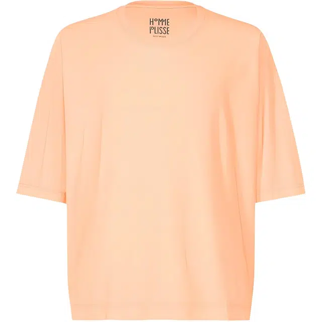 Homme Pliss Issey Miyake T