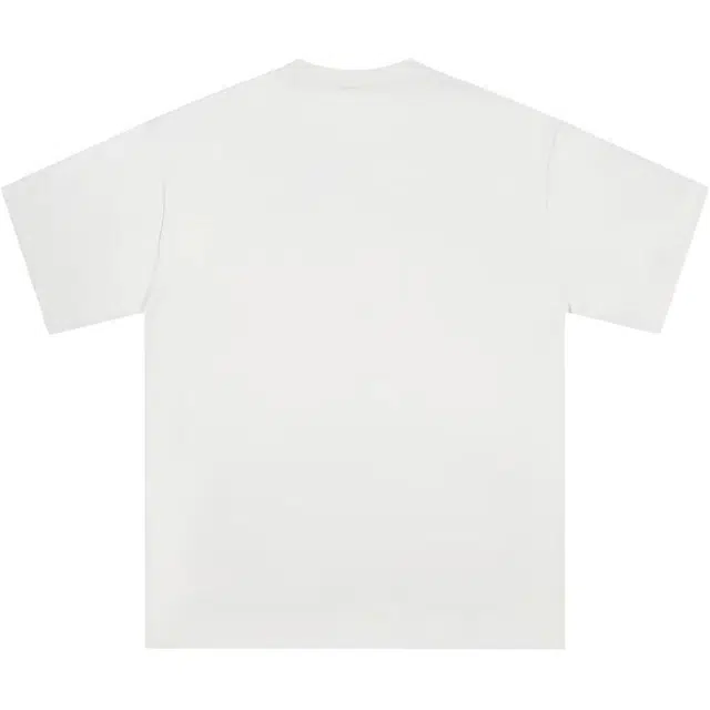 WELTER EXPERIMENT T