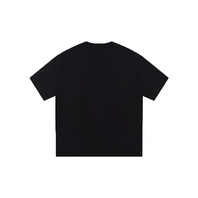 WELTER EXPERIMENT T