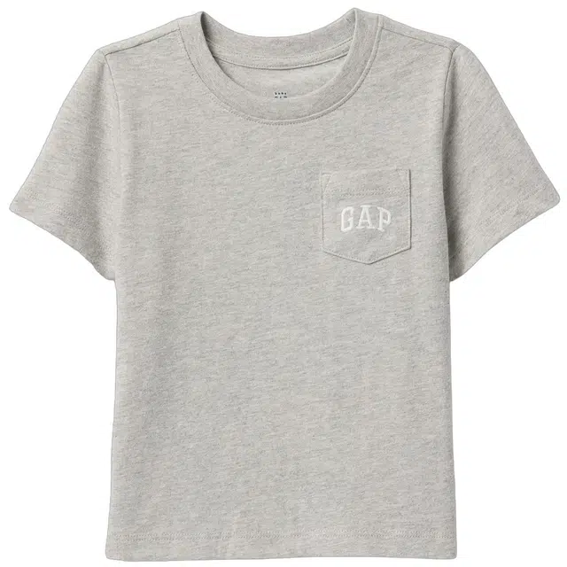 GAPTlogo