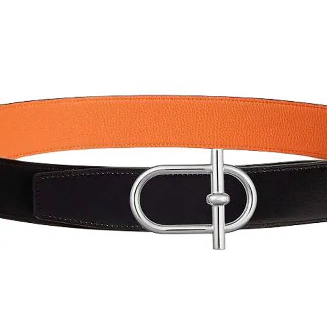 HERMES 3.8