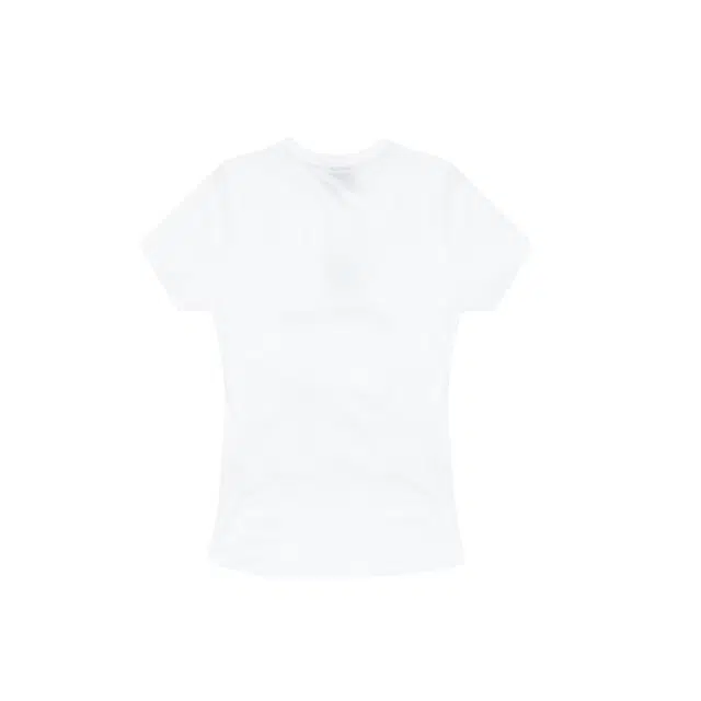 FDR logo T