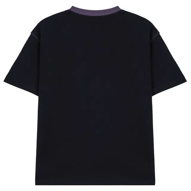 MindBridge T