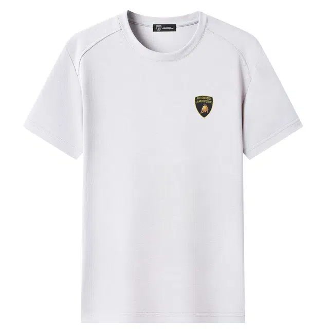 Automobili Lamborghini Polo