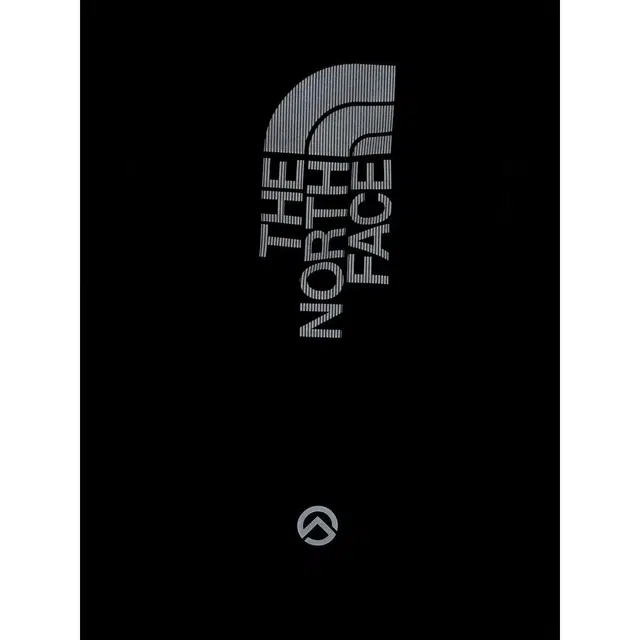 THE NORTH FACE Summit Run 20L
