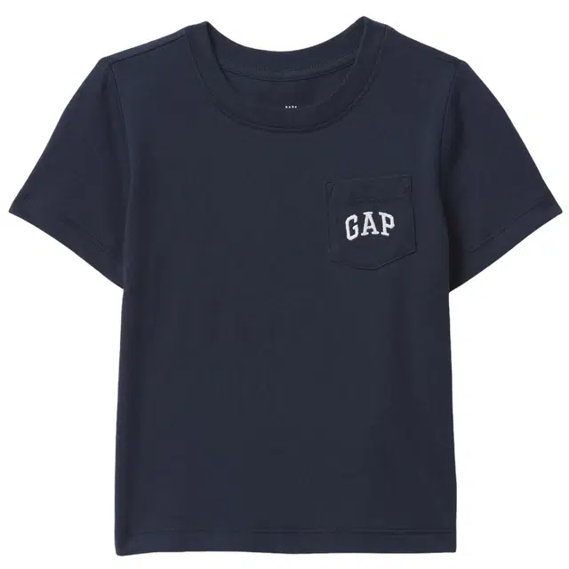 GAPTlogo