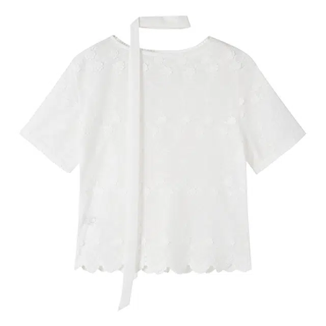 XIANGYING V T