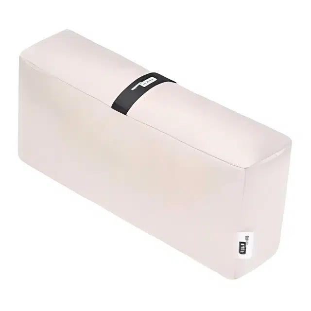 FANJI Chanel2.55mini