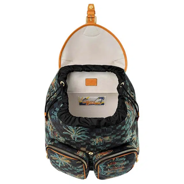 LOUIS VUITTON Montsouris CARGO Damier Palm Trees
