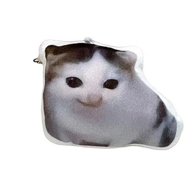 PP