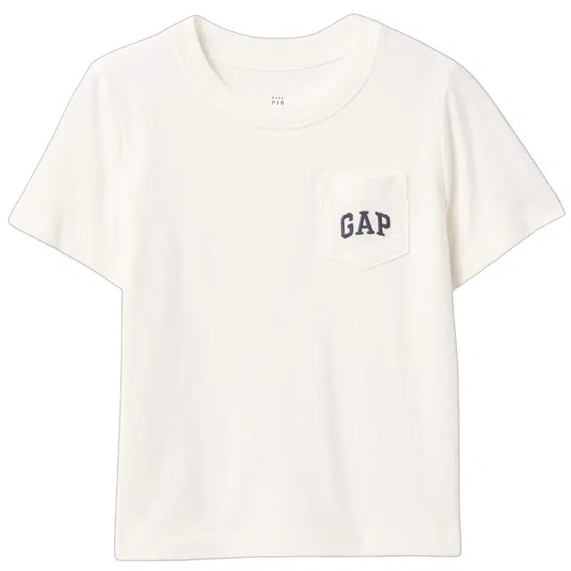 GAPTlogo