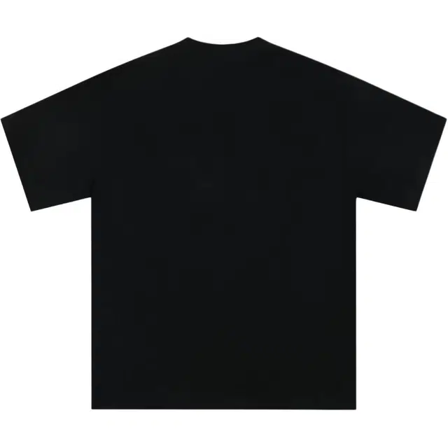WELTER EXPERIMENT T