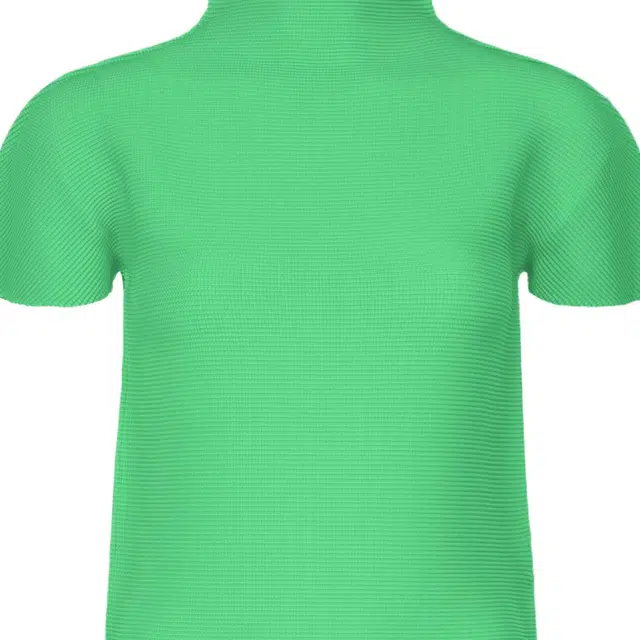 ISSEY MIYAKE T