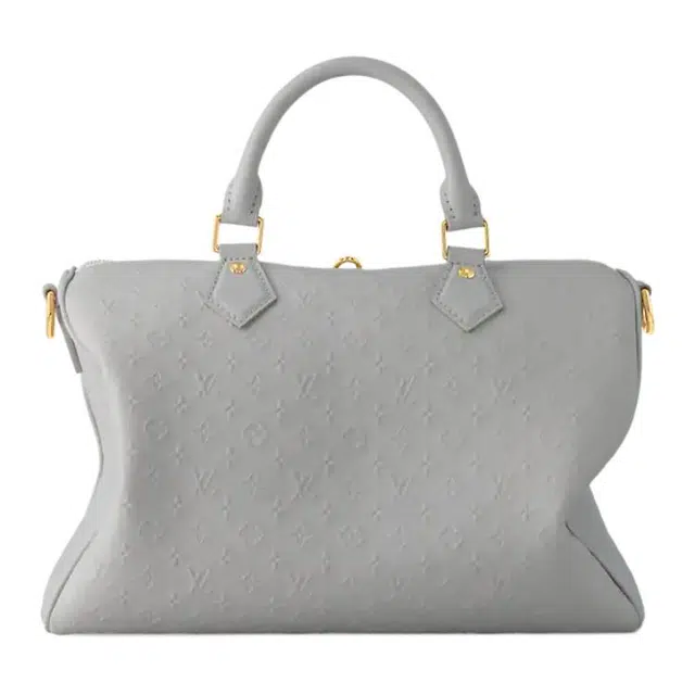 LOUIS VUITTON SPEEDY SOFT 30