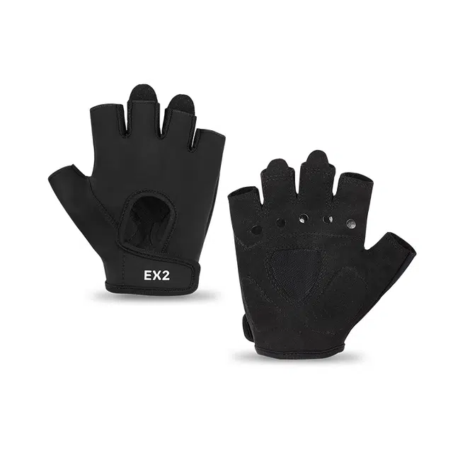 EX2