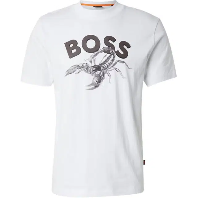 HUGO BOSS SS25 T