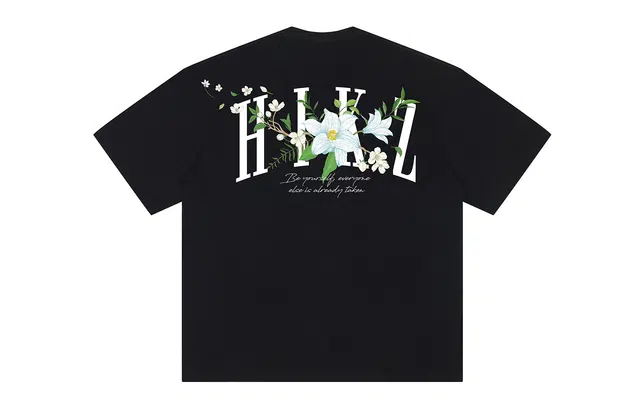HIKZ logoT