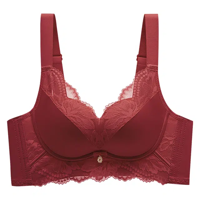 二三二三 自然透气聚拢提拉上托不空杯亲肤舒适内衣侧收副乳无钢圈可调节肩带软支撑胸罩法式成熟浪漫蕾丝时尚百搭性感文胸 女款