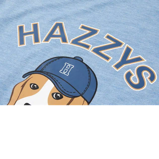 HAZZYS