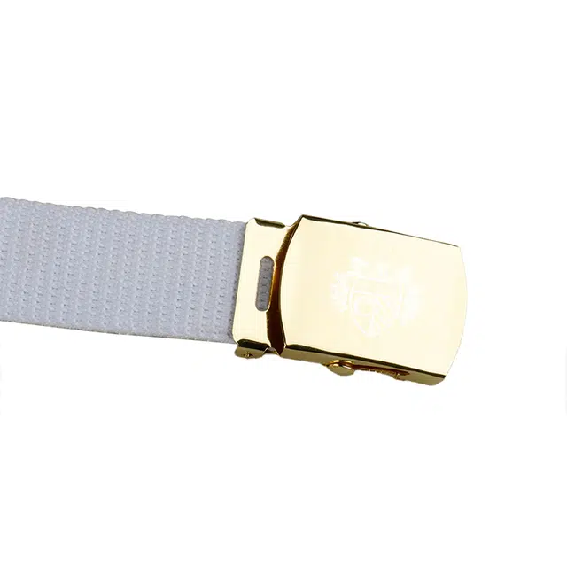 PAUL COSTELLOE 3.3