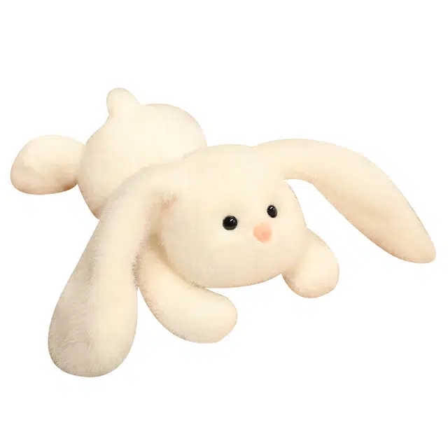 25cm