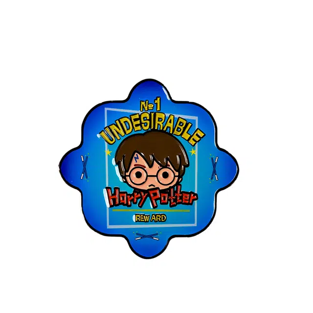 HARRY POTTER diy