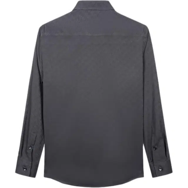 才子 高级休闲吸湿透气百搭通勤长袖衬衫 男款