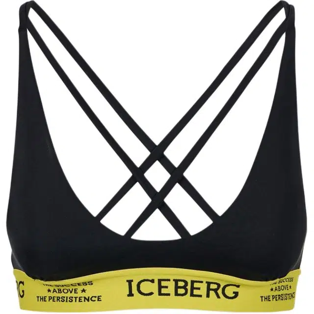 iceberg