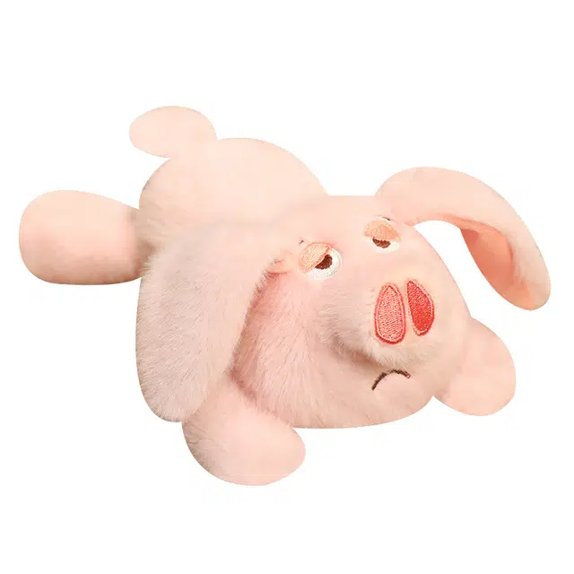 25cm