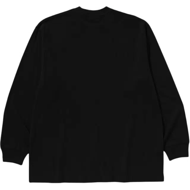 A BATHING APE SS25 SS25 T
