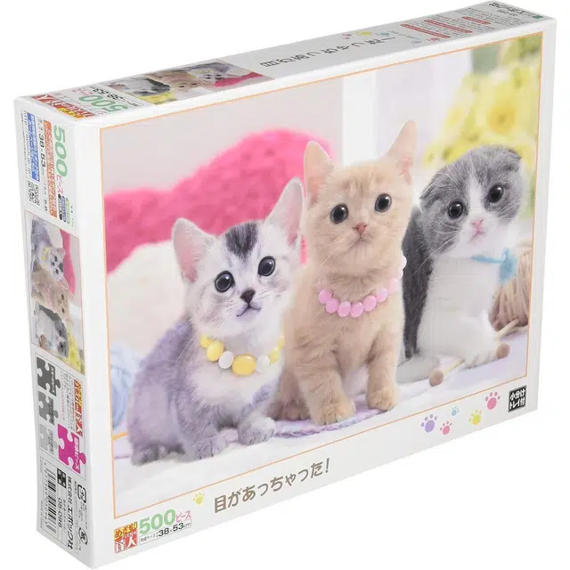 EPOCH 05-096 500pcs 4977389050963