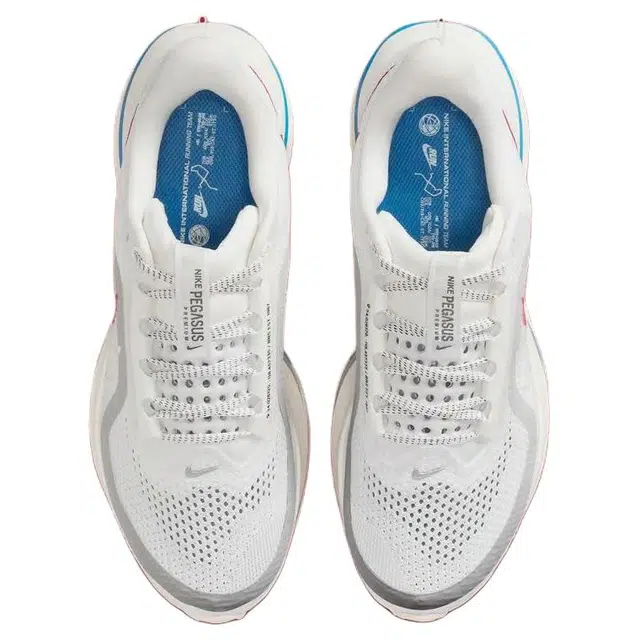 Nike Pegasus Premium Forrest Gump