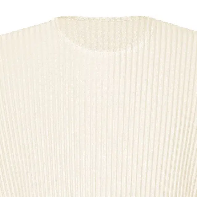 Homme Pliss Issey Miyake T