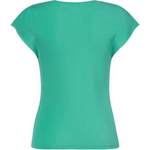 PLEATS PLEASE ISSEY MIYAKE T