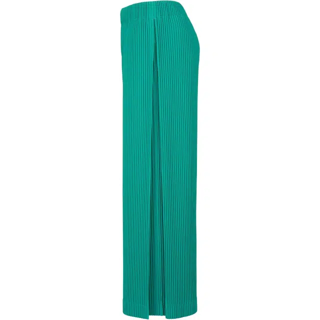 Homme Pliss Issey Miyake