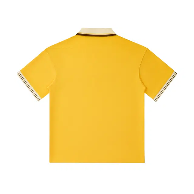 WOKXSS Polo