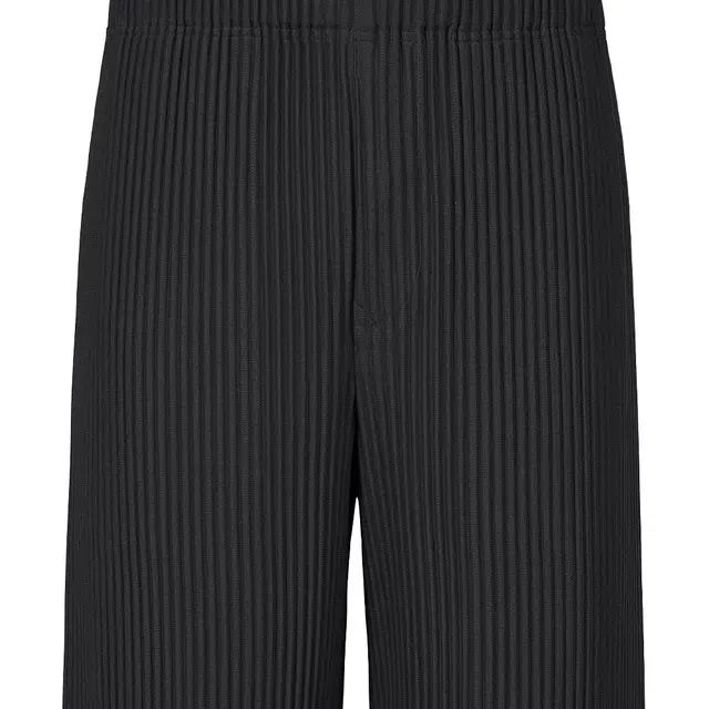 Homme Pliss Issey Miyake