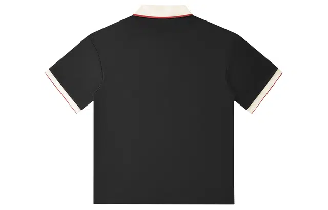 WOKXSS Polo