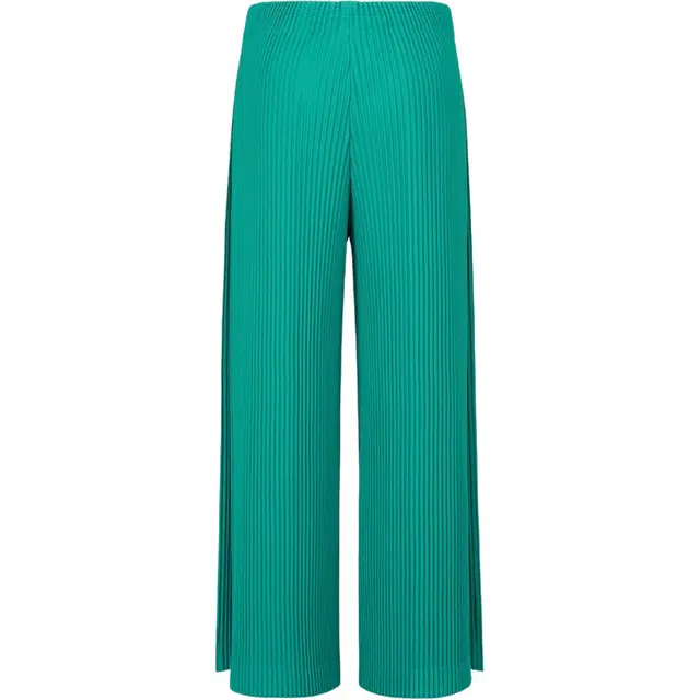 Homme Pliss Issey Miyake