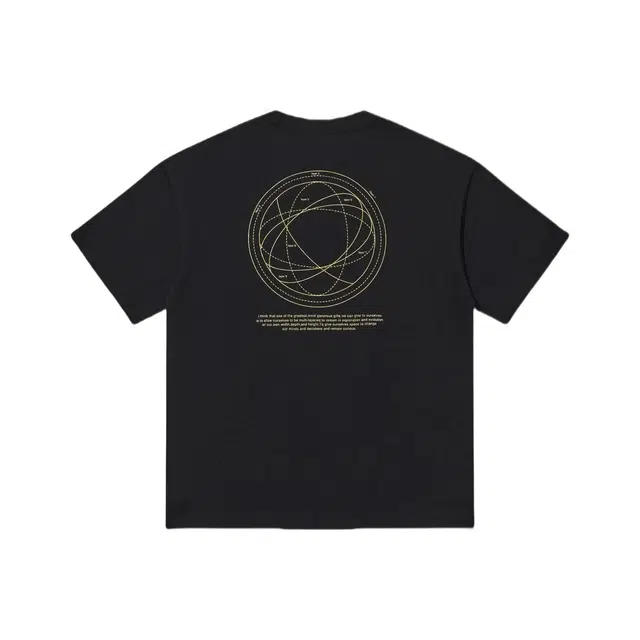 PVPVPV T