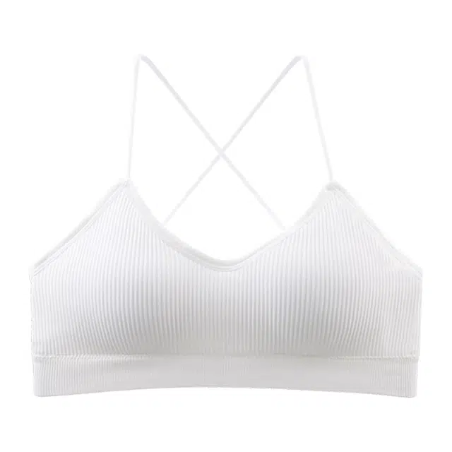 帕兰朵 凉感美背防下垂亲肤柔软舒适亲肤文胸 女款