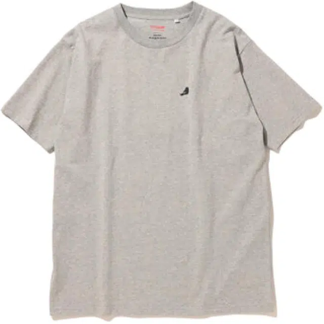 beams T