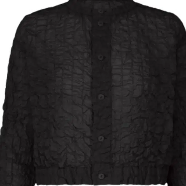 ISSEY MIYAKE SS25