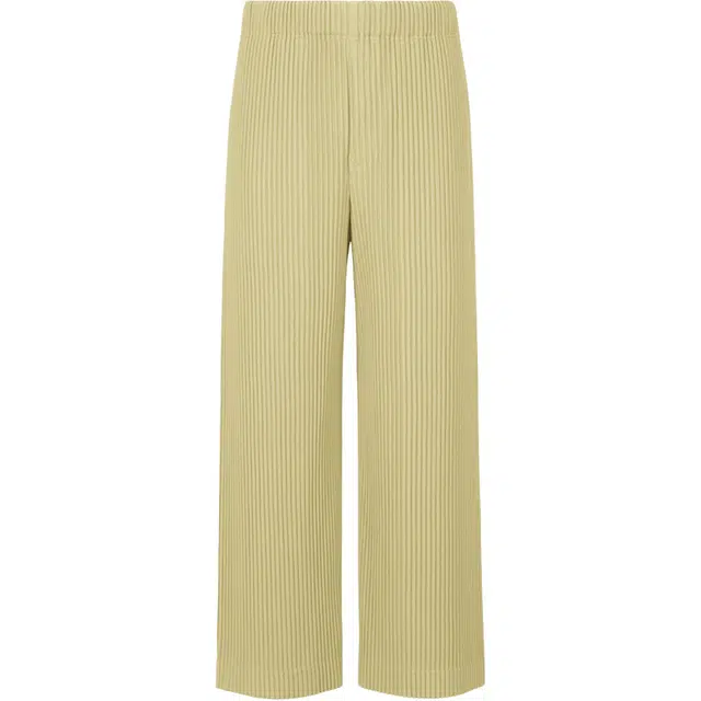 Homme Pliss Issey Miyake