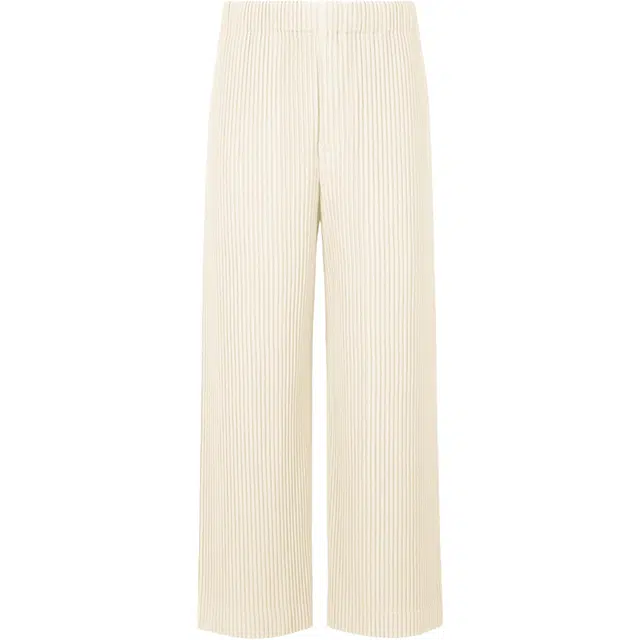 Homme Pliss Issey Miyake