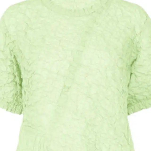 ISSEY MIYAKE SS25 T