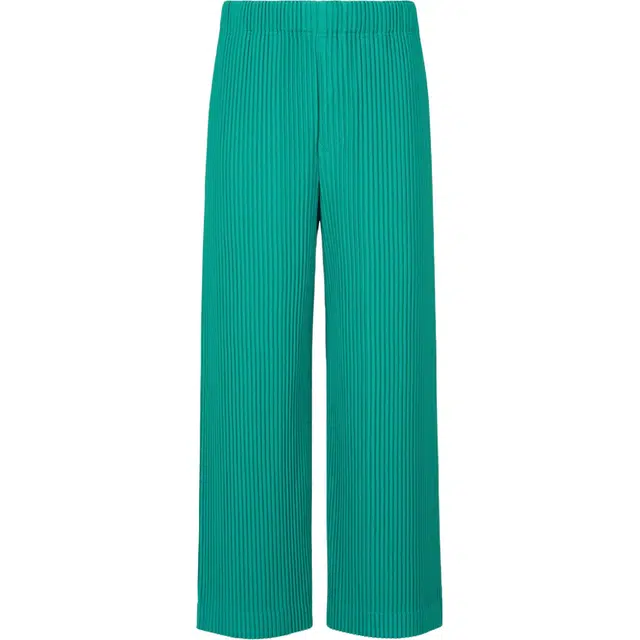 Homme Pliss Issey Miyake