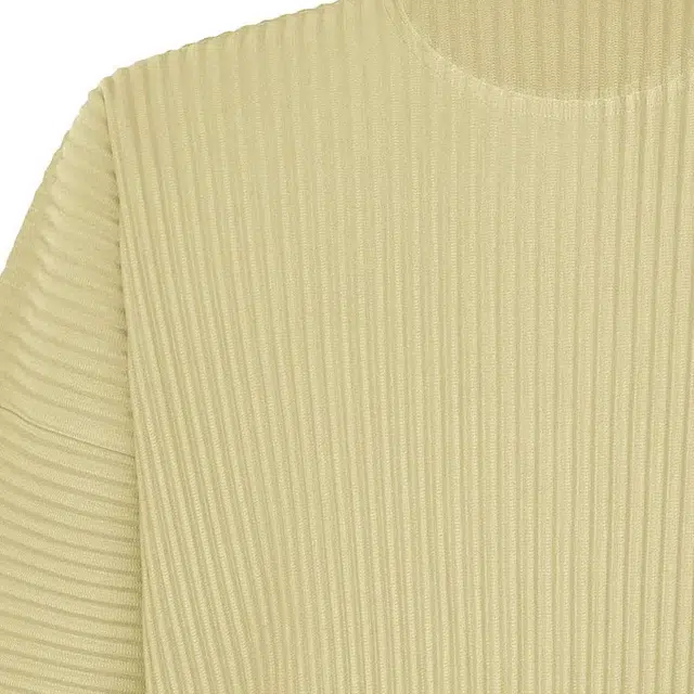 Homme Pliss Issey Miyake T