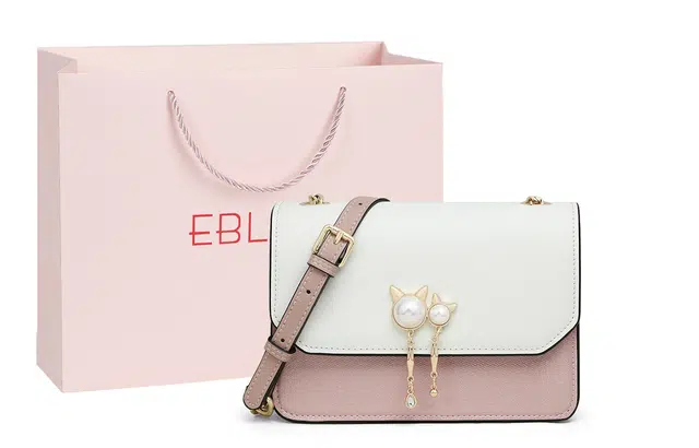 EBLAN ins