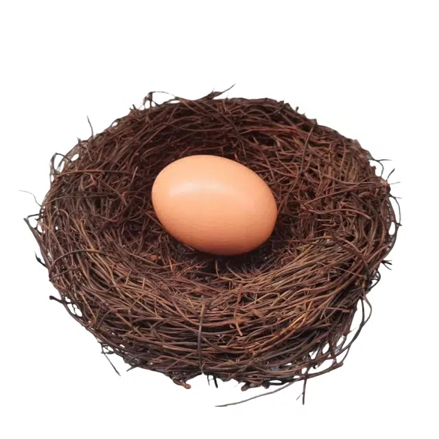 乐智由我 木质鸡蛋鸭蛋实心整蛊 成品模型